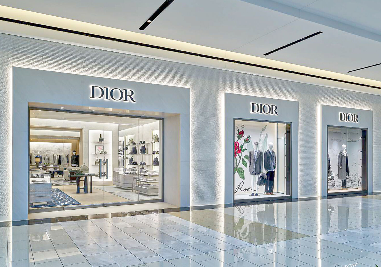 Dior défilés - L'intégrale des collections<br> Alexander Fury, Adelia Sabatini